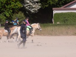 IMG_5567_web